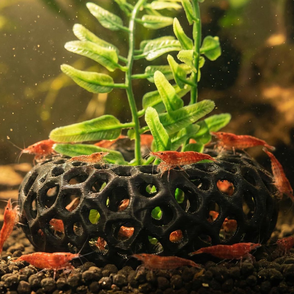 Aquarium Fish Reproduction - Heiß begehrtes 3D-gedrucktes Fluchthaus für Aquarienfische