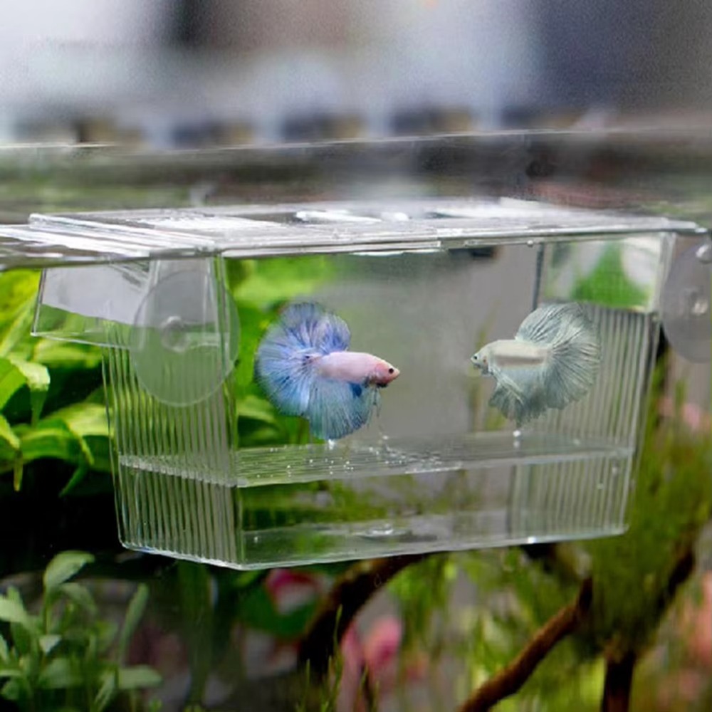 Aquarium Fish Reproduction - Kreative Acryl Aquarium Zucht Inkubator Aquarium