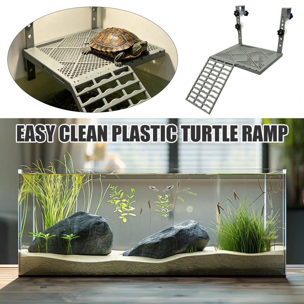 Aquarium Fish Guppy - Aquarium-Dekoration: Feste Hängende Schildkröten-Abstehplattform mit Saugnäpfen,