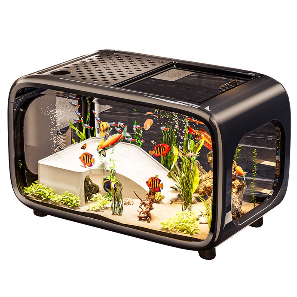 Live Fish Aquarium - Kreatives Transparentes Ökologisches Aquarium mit Deckel