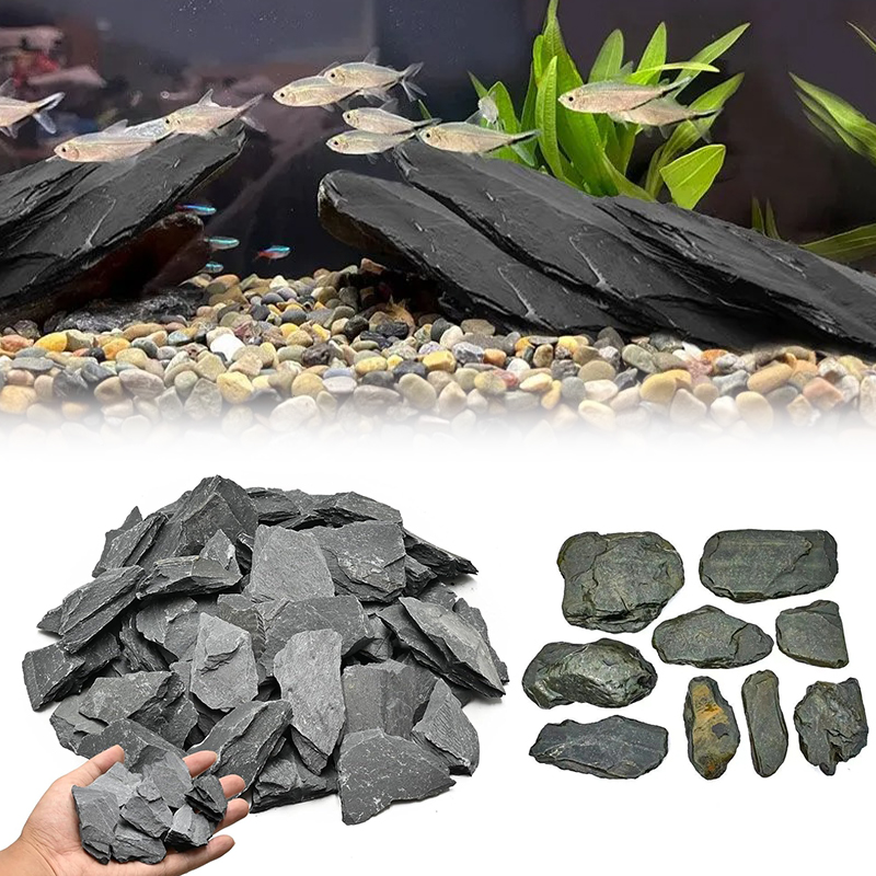 500/1000g Aquarium-Landschafts – Aquarium Fish Guppy Bewertung und Preis