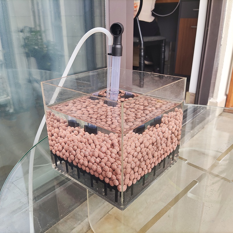 Transparentes Acryl-Garnelen-A – Aquarium Fish Reproduction Bewertung und Preis