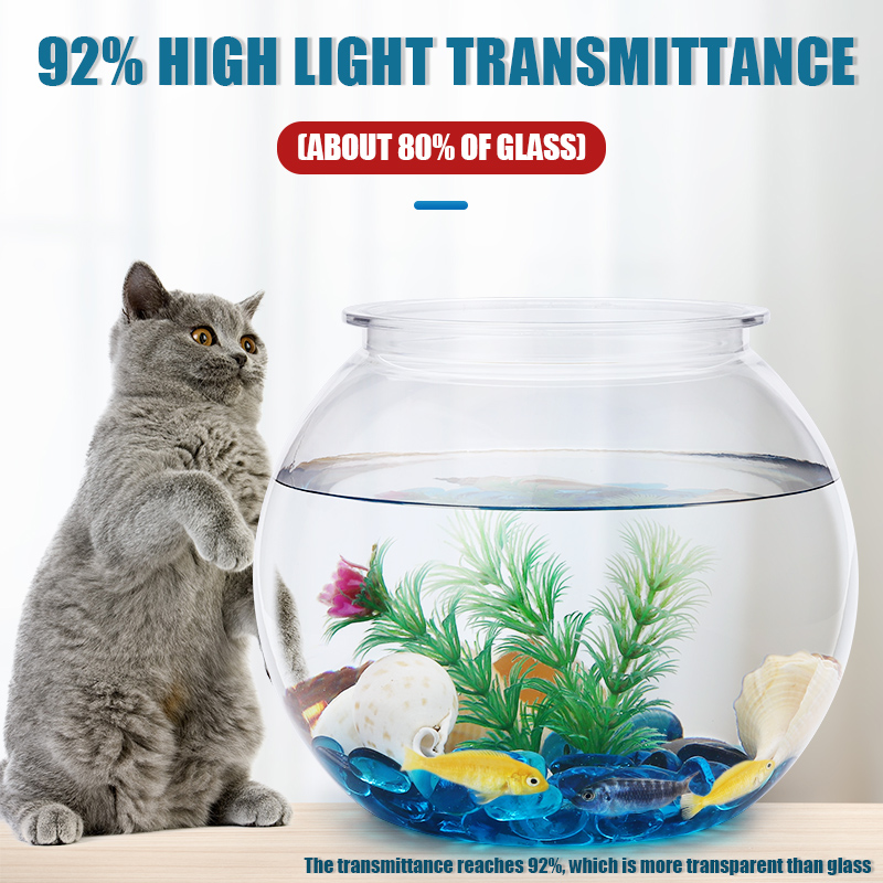 Fischschale aus Kunststoff, L, – All Fish In Aquarium Bewertung und Preis