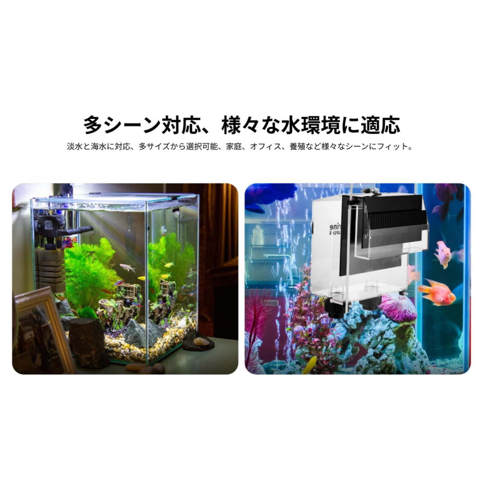 Acryl-Überlaufbox für Aquarien – Fish Aquarium Guide Bewertung und Preis