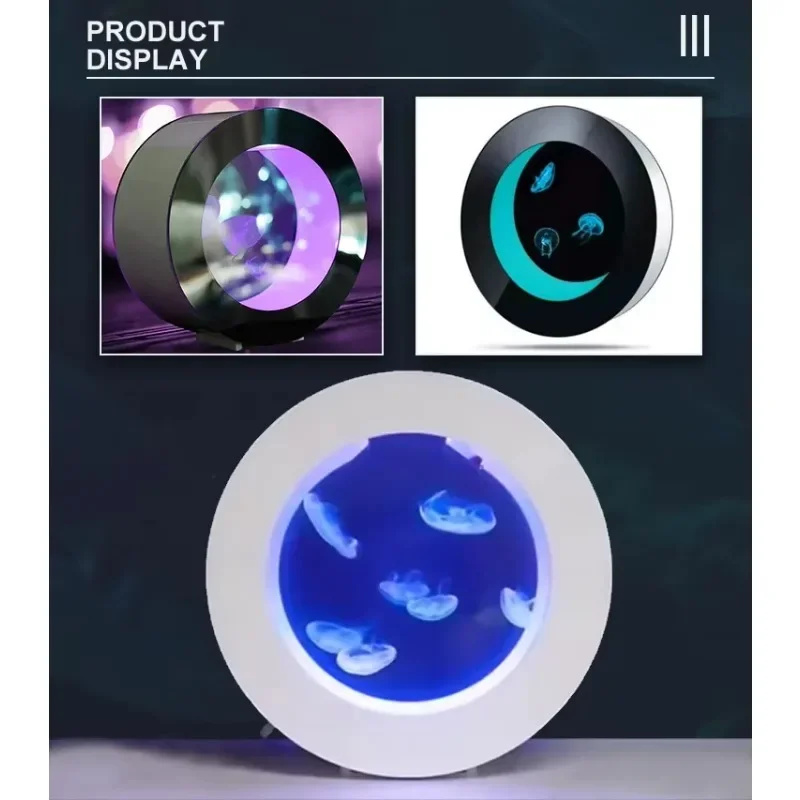 Gold Seller O-förmiges Quallen – All Fish In Aquarium Bewertung und Preis