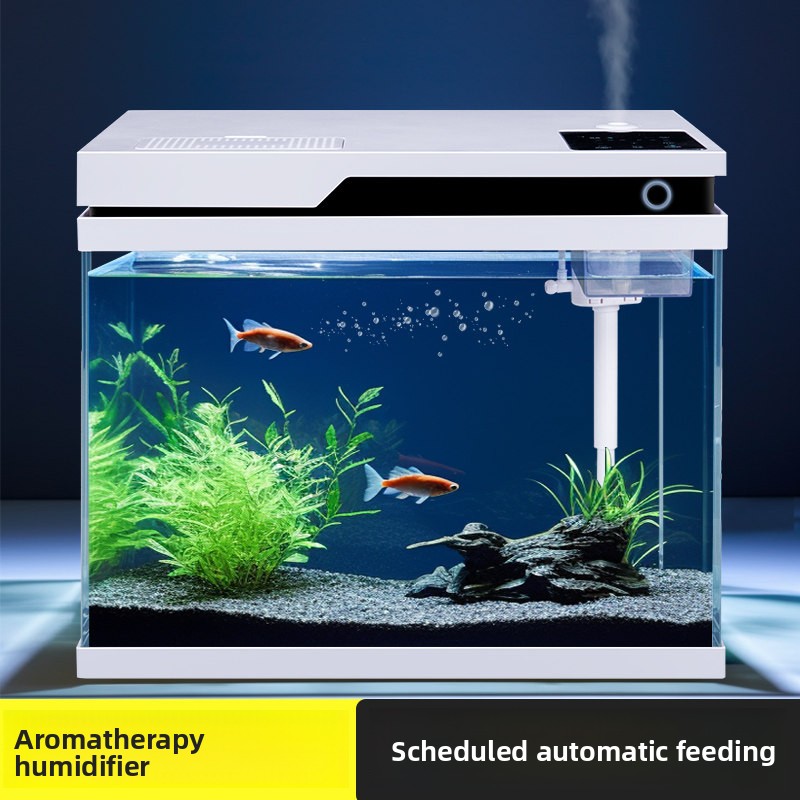 Klares Glas-Aquarium mit Intel – All Fish In Aquarium Bewertung und Preis