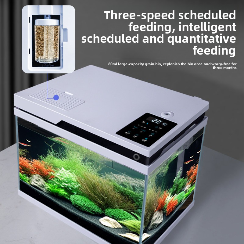 Klares Glas-Aquarium mit Intel – All Fish In Aquarium Bewertung und Preis