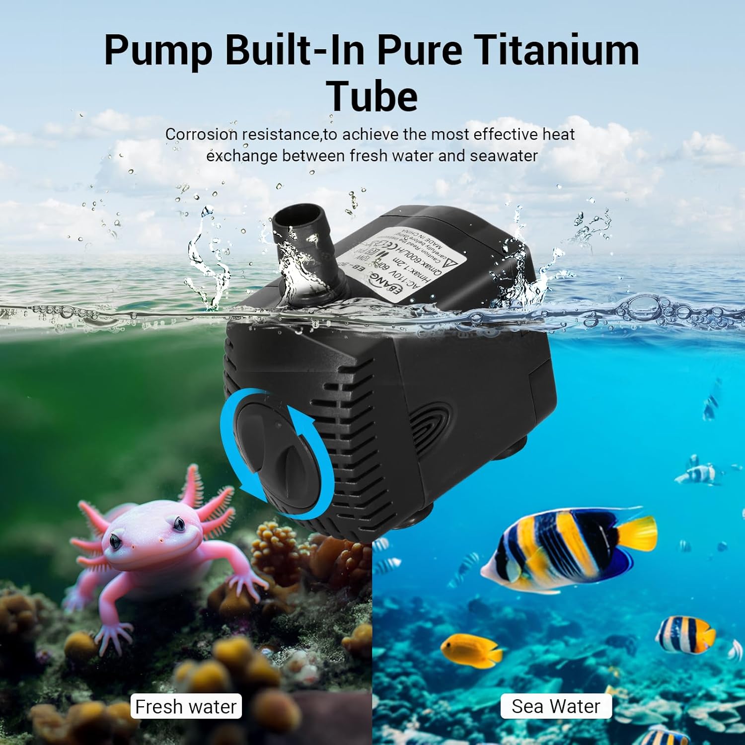 Aquarium-Kühler 79 Gallonen 1/ – All Fish In Aquarium Bewertung und Preis