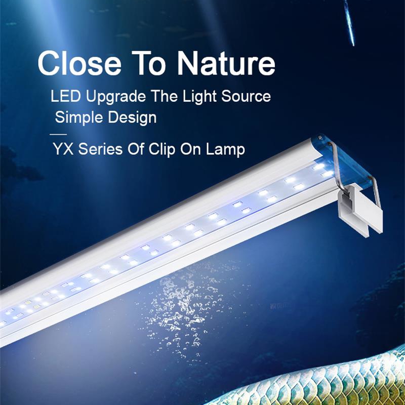 Ausziehbare wasserdichte Clip  – Aquarium Fish Photography Bewertung und Preis