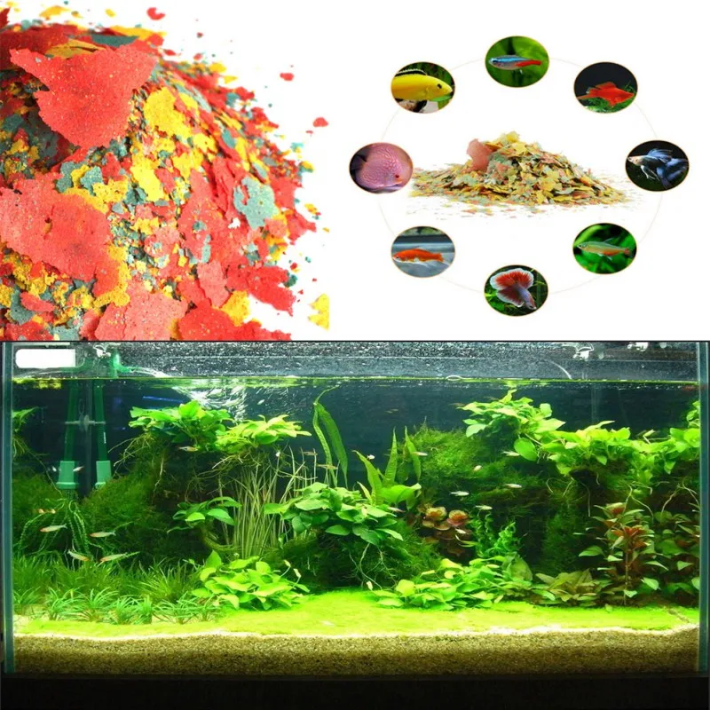 NEU Gesunde Fischfutterflocken – Fish Food Flake Bewertung und Preis