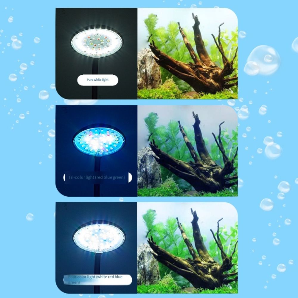 Mini-Aquarium-Cliplampe 360-Gr – Live Fish Aquarium Bewertung und Preis