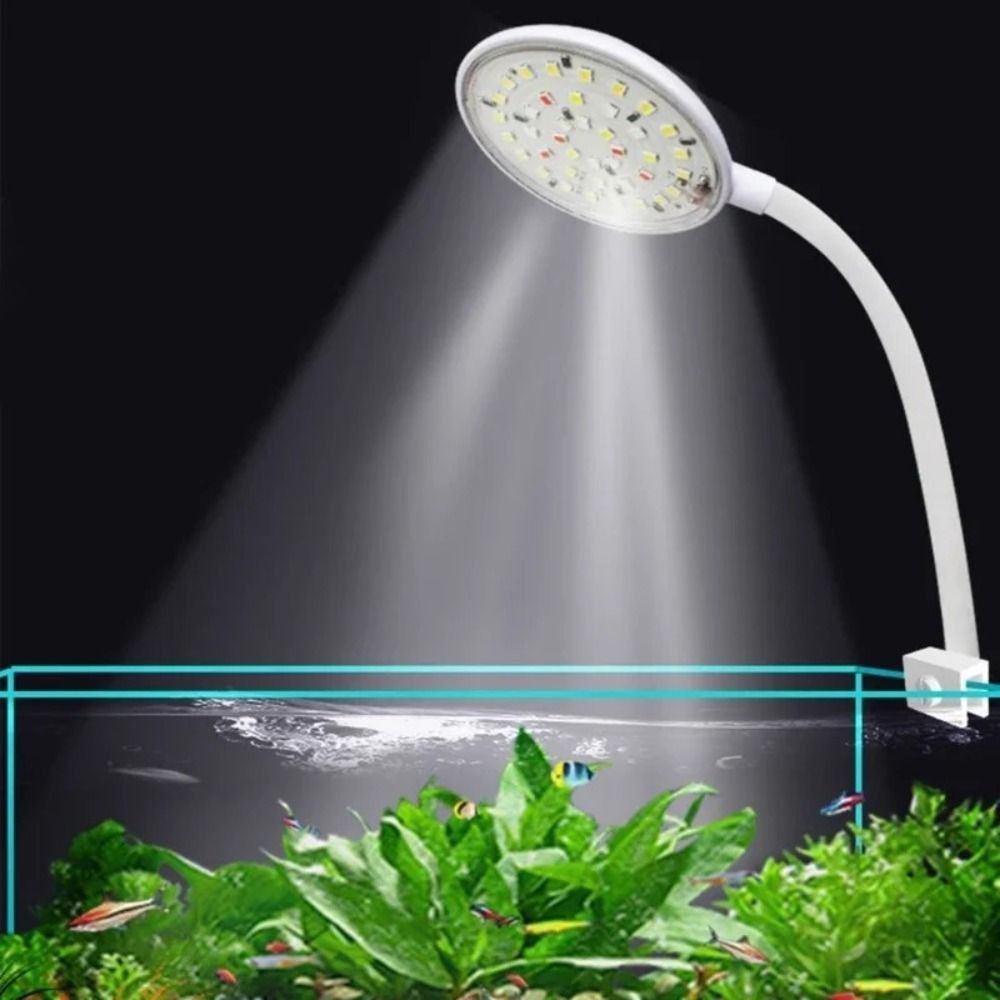 Mini-Aquarium-Cliplampe 360-Gr – Live Fish Aquarium Bewertung und Preis