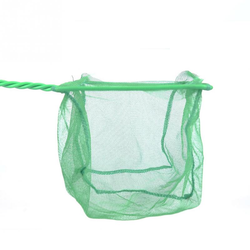1 Stück Langstieliges Quadrati – Aquarium Fishland Bewertung und Preis