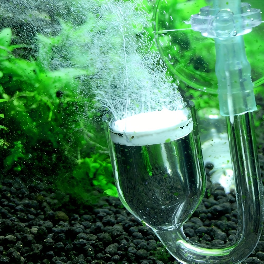Aquarium Glas CO2 Zerstäuber D – Aquarium Fish Photography Bewertung und Preis