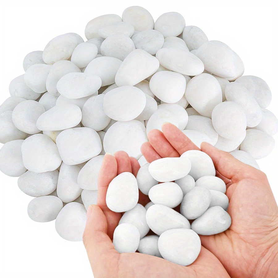 200/400g weiße hochglanzpolier – Aquarium Fish Only Bewertung und Preis