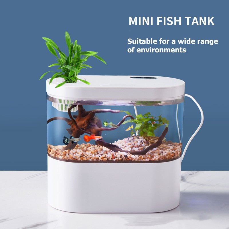 Mini-Desktop-Aquarium mit Bioc – Live Fish Aquarium Bewertung und Preis
