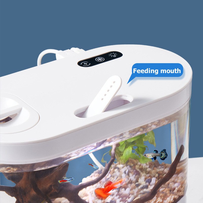 Mini-Desktop-Aquarium mit Bioc – Live Fish Aquarium Bewertung und Preis