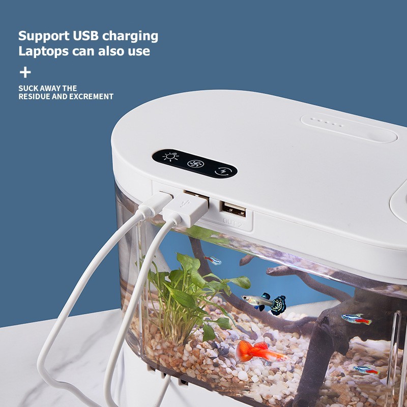 Mini-Desktop-Aquarium mit Bioc – Live Fish Aquarium Bewertung und Preis