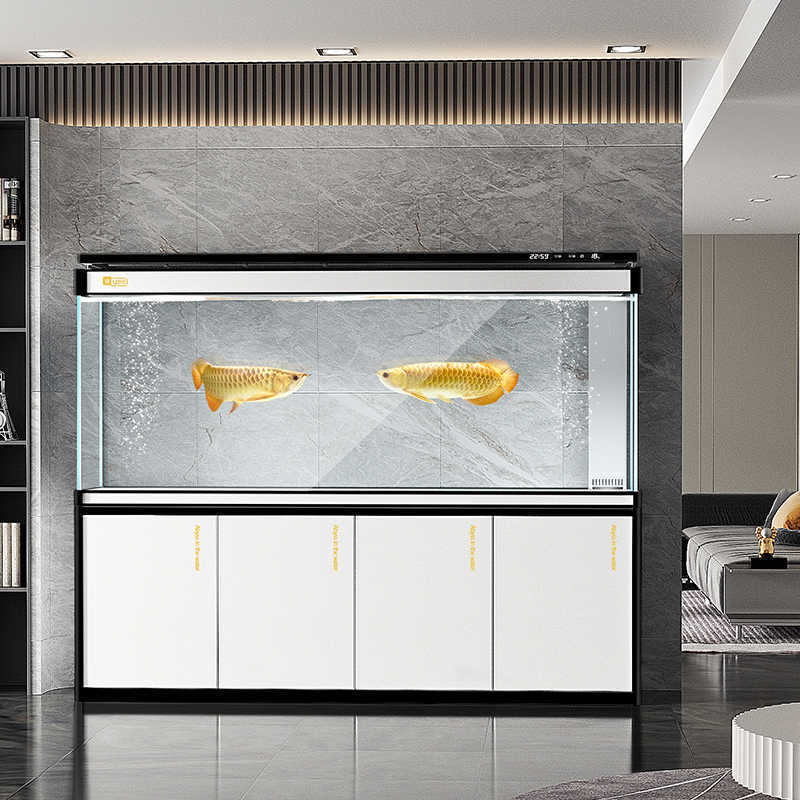 Großes Arowana-Aquarium für da – Aquarium Xxl Bewertung und Preis