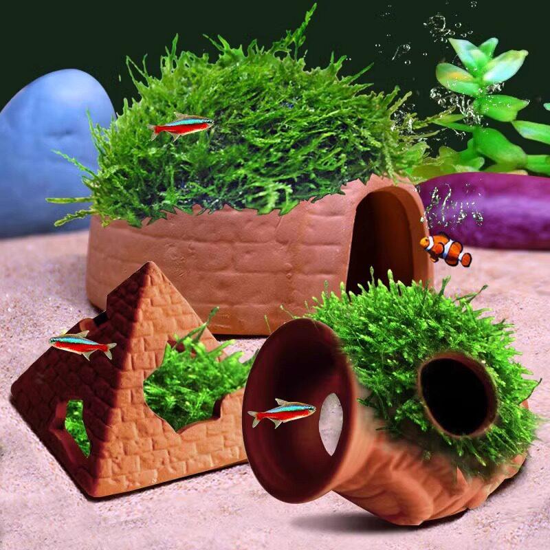   Ton-Tank mit Versteckmöglich – Aquarium Fish Reproduction Bewertung und Preis
