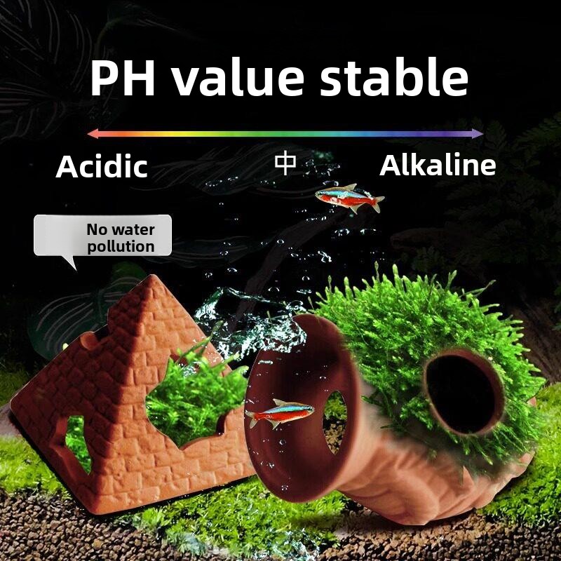   Ton-Tank mit Versteckmöglich – Aquarium Fish Reproduction Bewertung und Preis