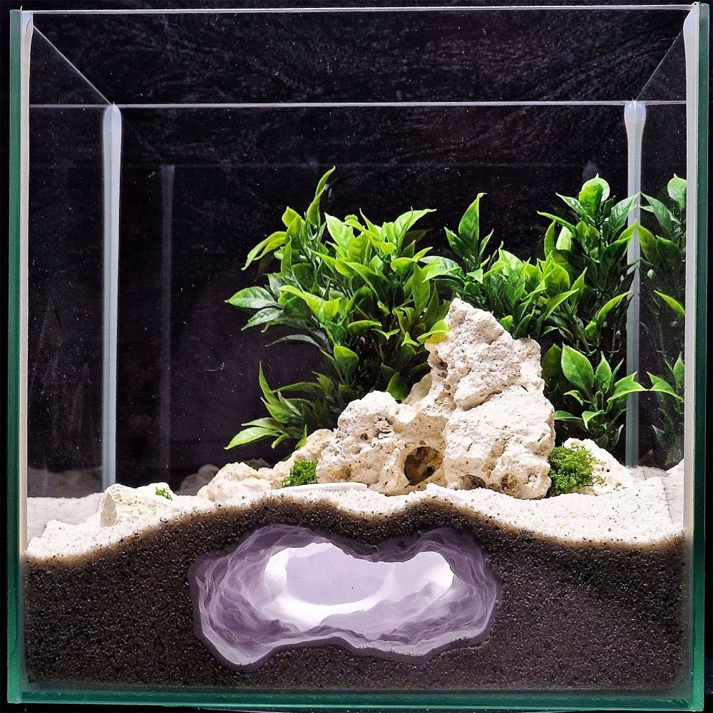 Hochrealistische Aquarium-Land – Aquarium Fish Reproduction Bewertung und Preis