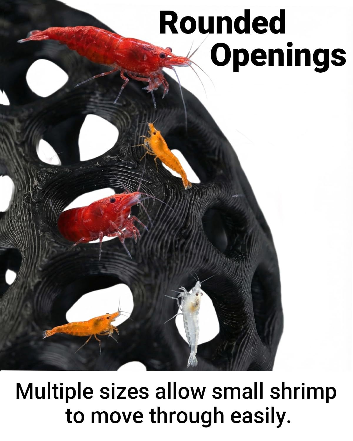 Heiß begehrtes 3D-gedrucktes F – Aquarium Fish Reproduction Bewertung und Preis
