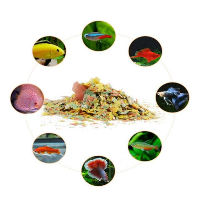 40 g Fischfutter zum Färben un – Fish Food Flake Bewertung und Preis