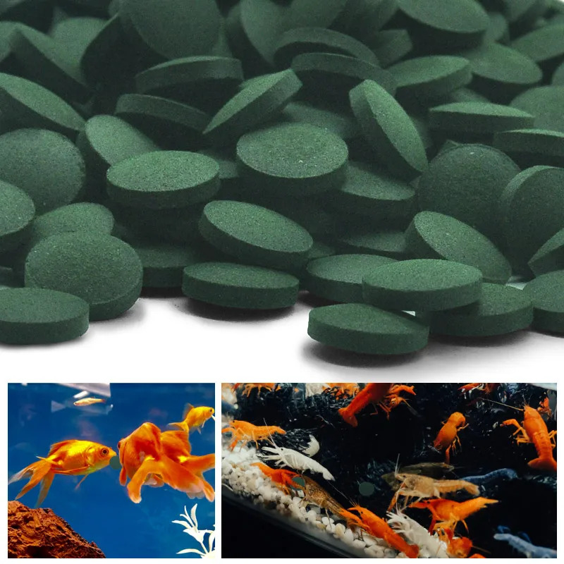100/500/1000PCS Spirulina Floc – Fish Food Flake Bewertung und Preis