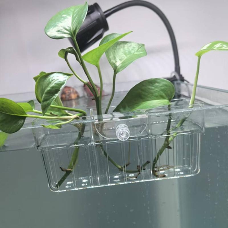 Hydroponischer Pflanzenkorb au – Aquarium Fish In Bewertung und Preis