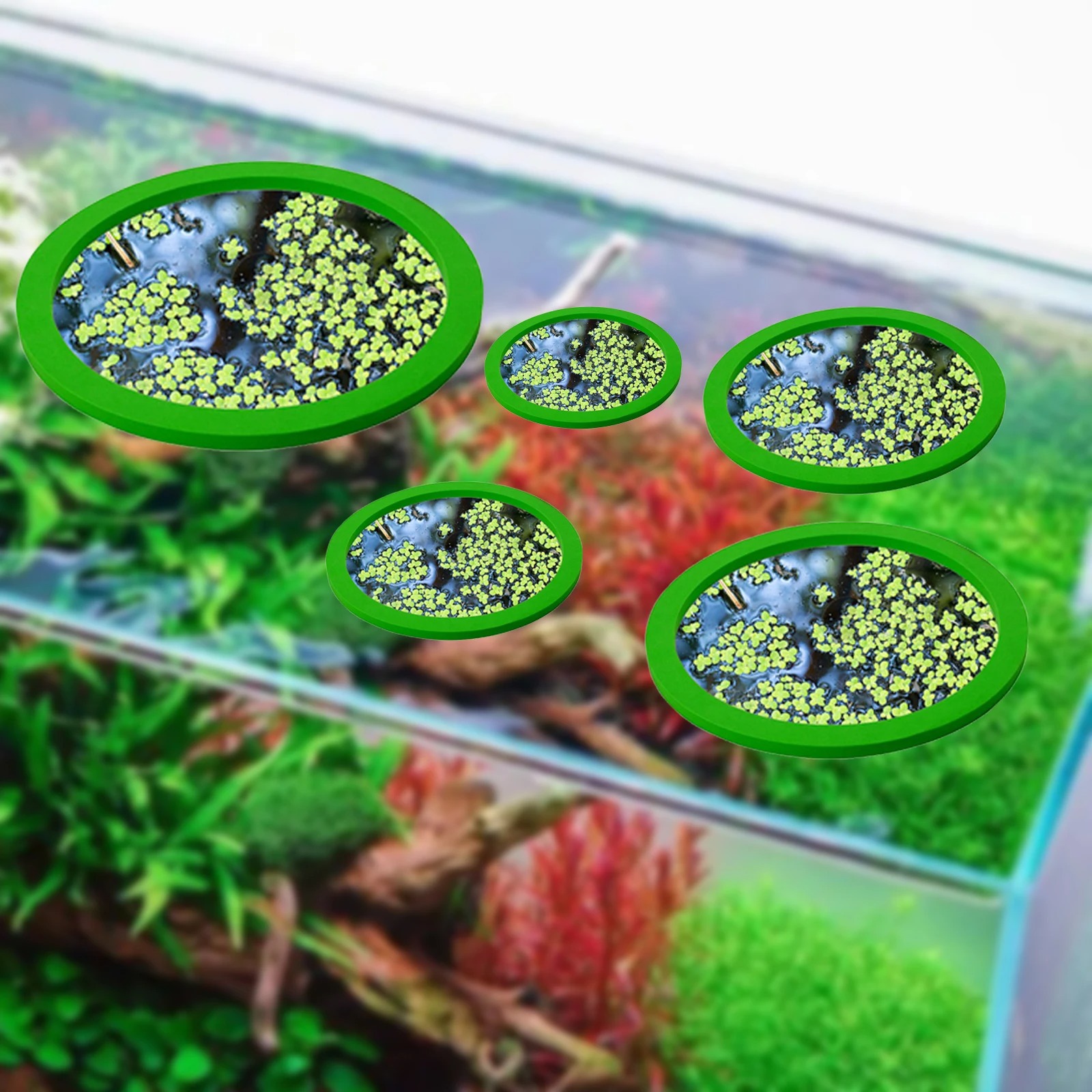 5Pcs EVA Fisch Fütterung Ring  – Aquarium Fish Photography Bewertung und Preis