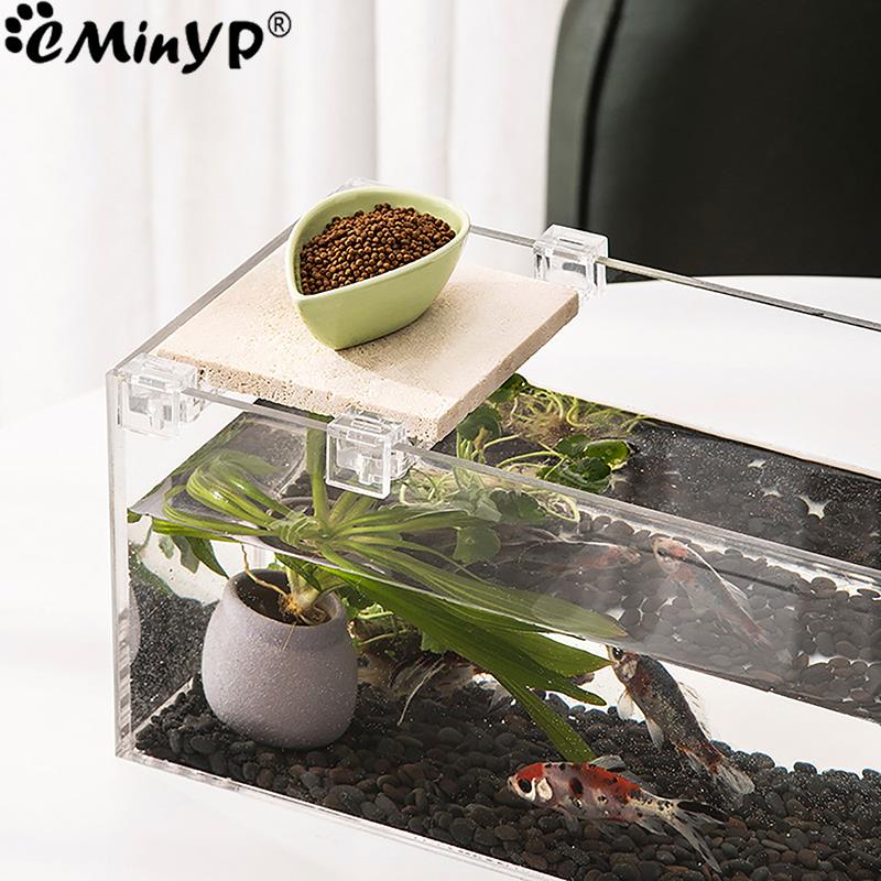 4Pcs Aquarium Acryl Clips für  – Aquarium Fish Photography Bewertung und Preis