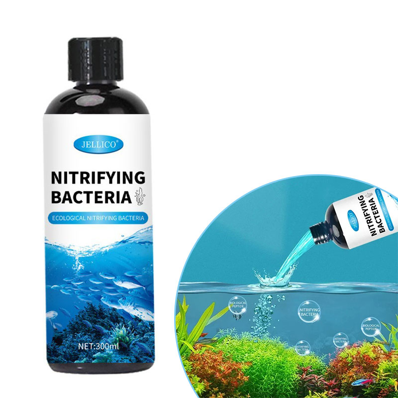 Nitrifizierende Bakterien Flüs – Aquarium Fish Farm Bewertung und Preis