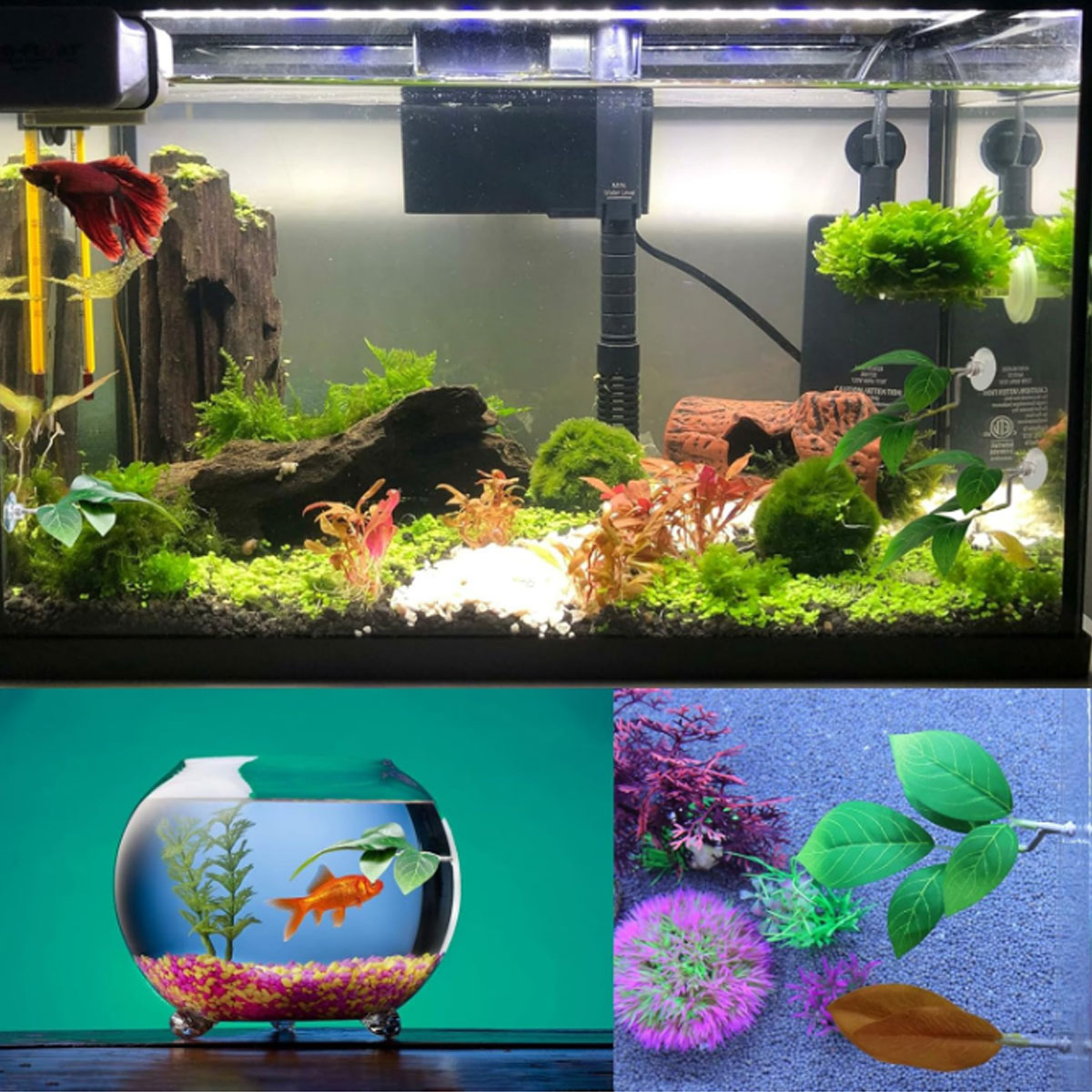 1 Stück Betta-Fisch-Hängematte – Aquarium Fish Only Bewertung und Preis