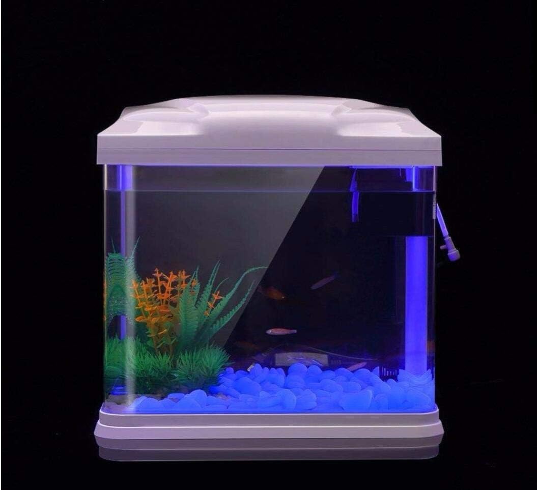 Aquarium-Felsen leuchten blaue – Aquarium Fish Photography Bewertung und Preis