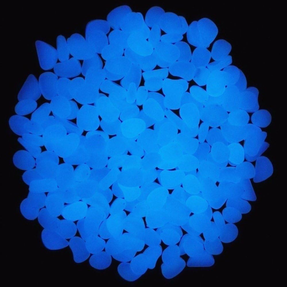 Aquarium-Felsen leuchten blaue – Aquarium Fish Photography Bewertung und Preis