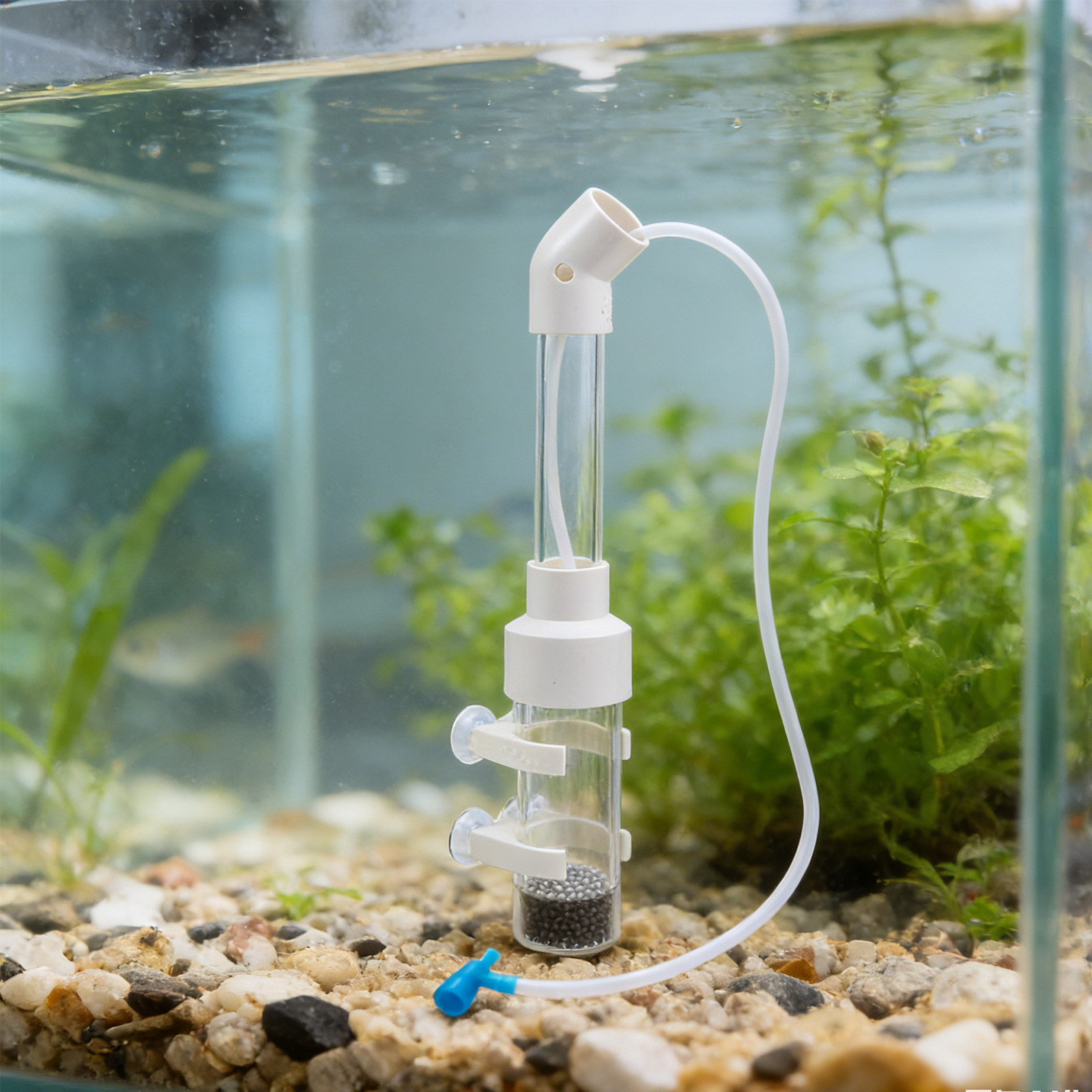 2 Sets Fischei-Inkubator-Set 4 – Aquarium Fish In Bewertung und Preis