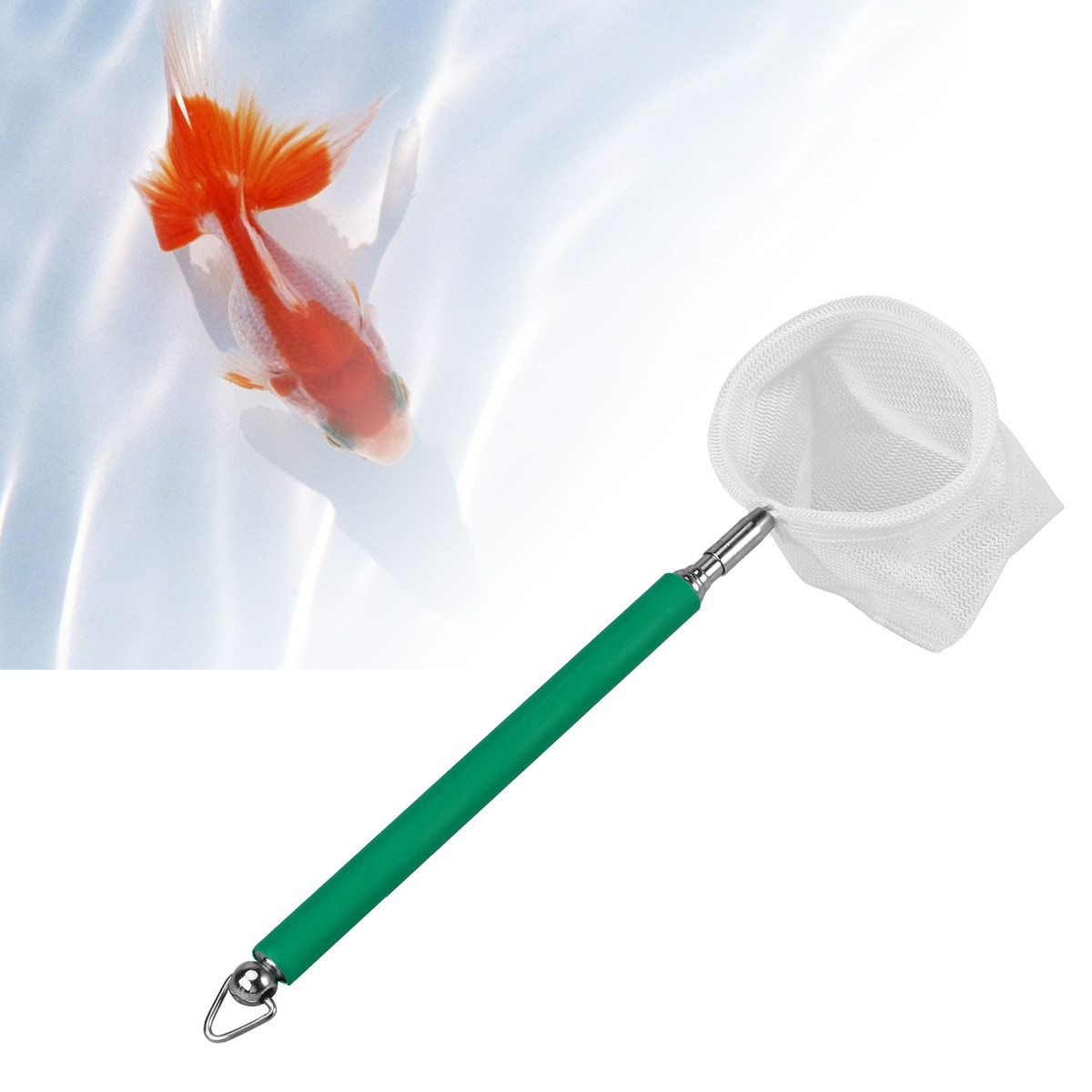 Hochwertiges Teleskop-Garnelen – Aquarium Fishland Bewertung und Preis
