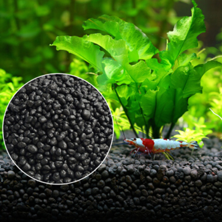 Aquarium Pflanzen Samen Boden  – Aquarium Fish Farm Bewertung und Preis