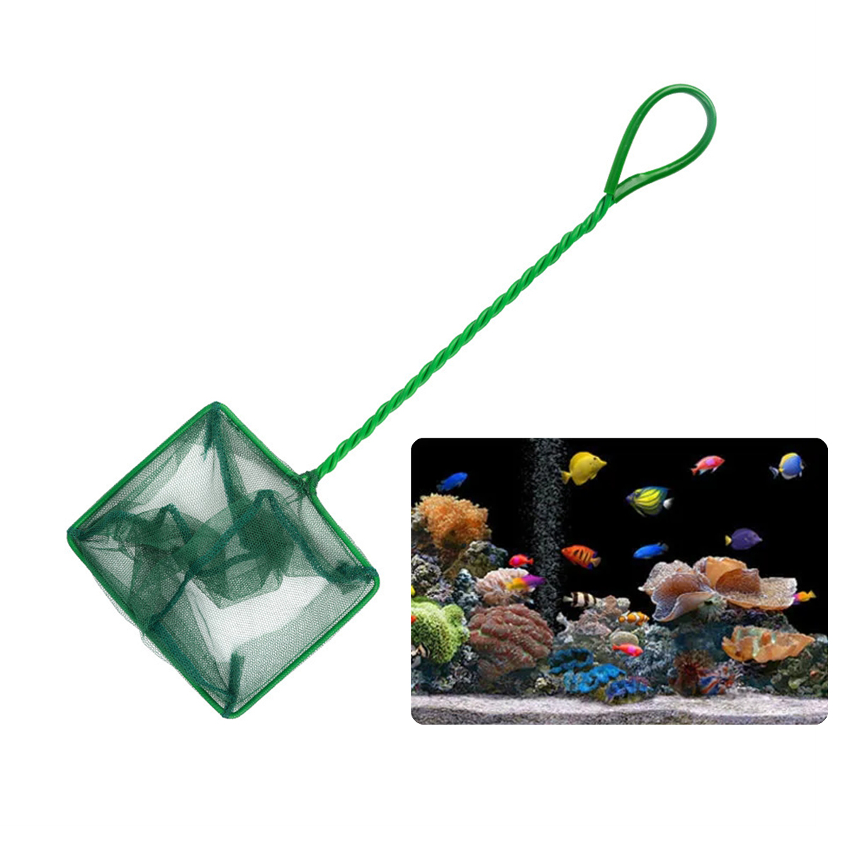 3 ~ 10 Zoll Tragbare Nylon Grü – Aquarium Fishland Bewertung und Preis