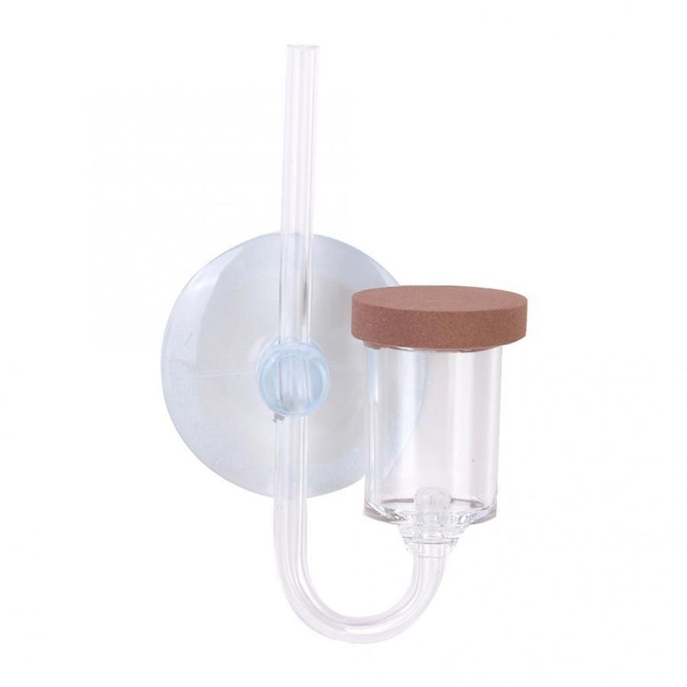 Acryl Mini Aquarium Live Pflan – Aquarium Fish Photography Bewertung und Preis
