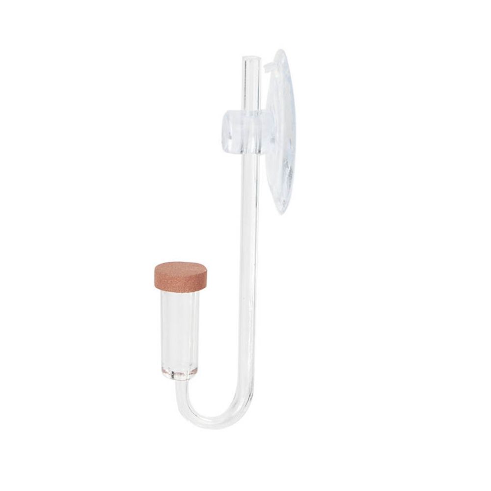 Acryl Mini Aquarium Live Pflan – Aquarium Fish Photography Bewertung und Preis