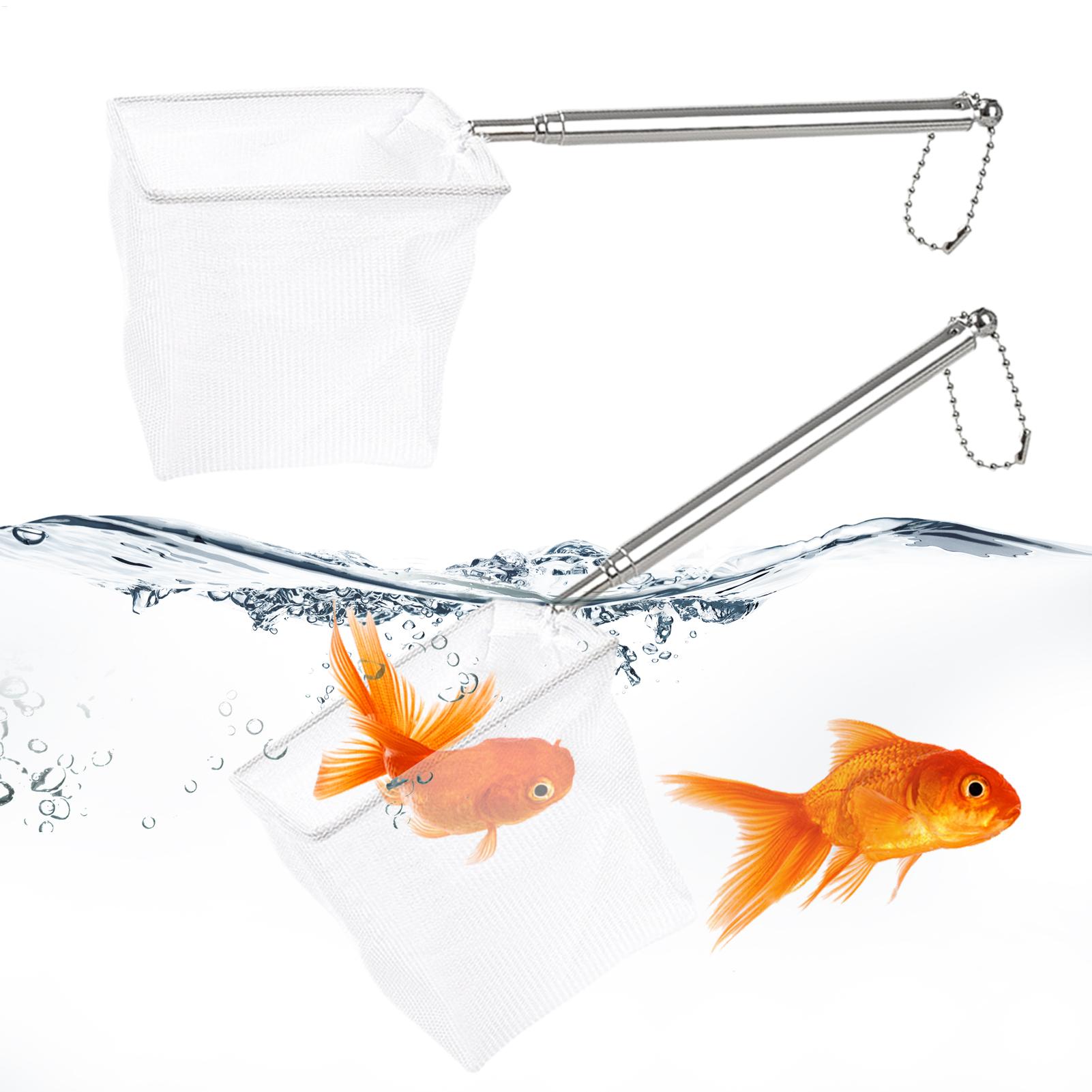 2er-Set kleiner Fischkescher m – Aquarium Fishland Bewertung und Preis