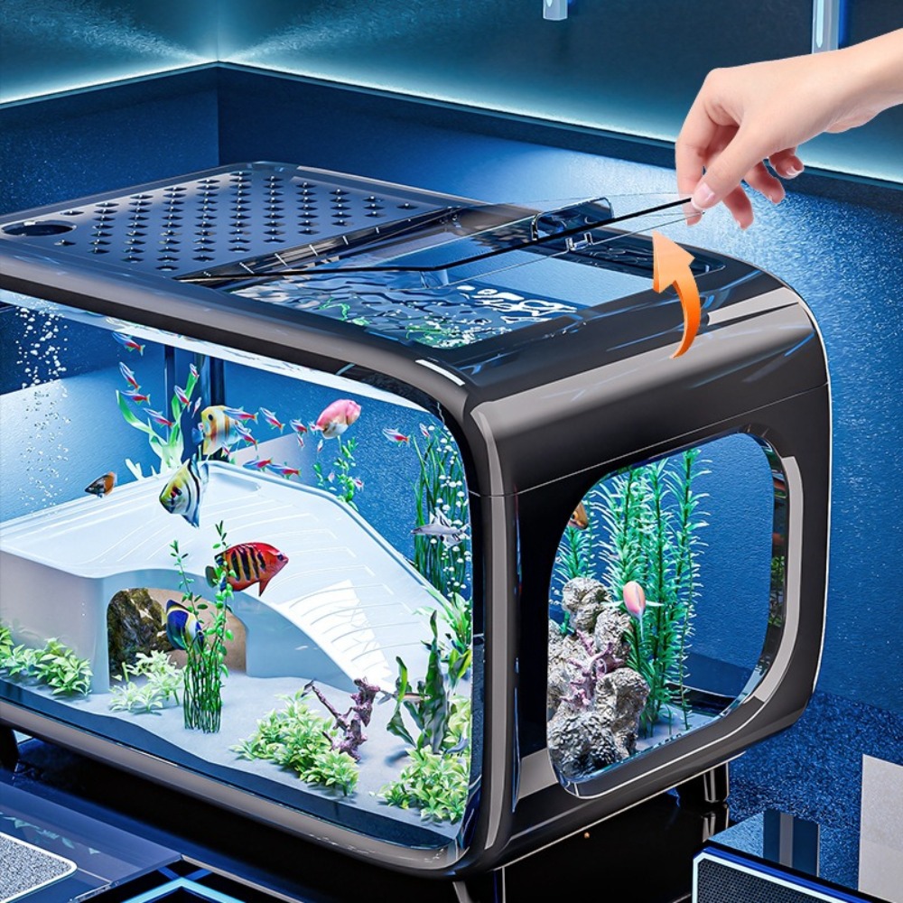 Transparente Luxus Aquarium La – Aquarium Fish Live Bewertung und Preis