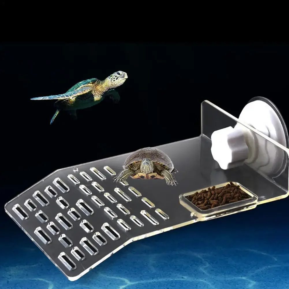 Schildkröten-Dock-Plattform mi – Aquarium Xxl Bewertung und Preis