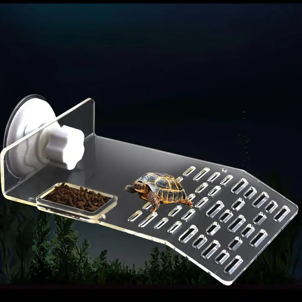 Schildkröten-Dock-Plattform mi – Aquarium Xxl Bewertung und Preis