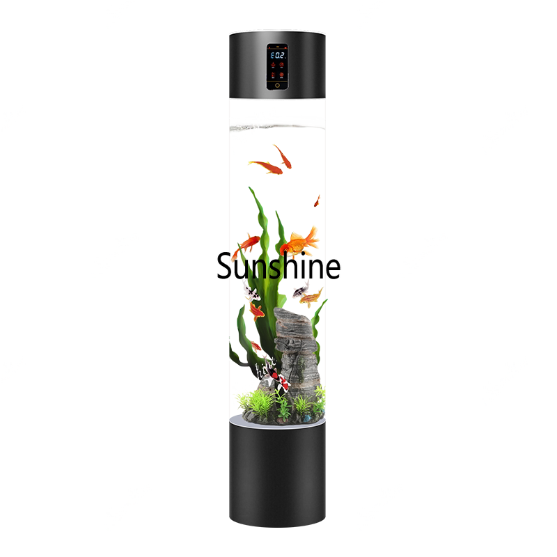 Wasserloses intelligentes fern – Aquarium Fishland Bewertung und Preis