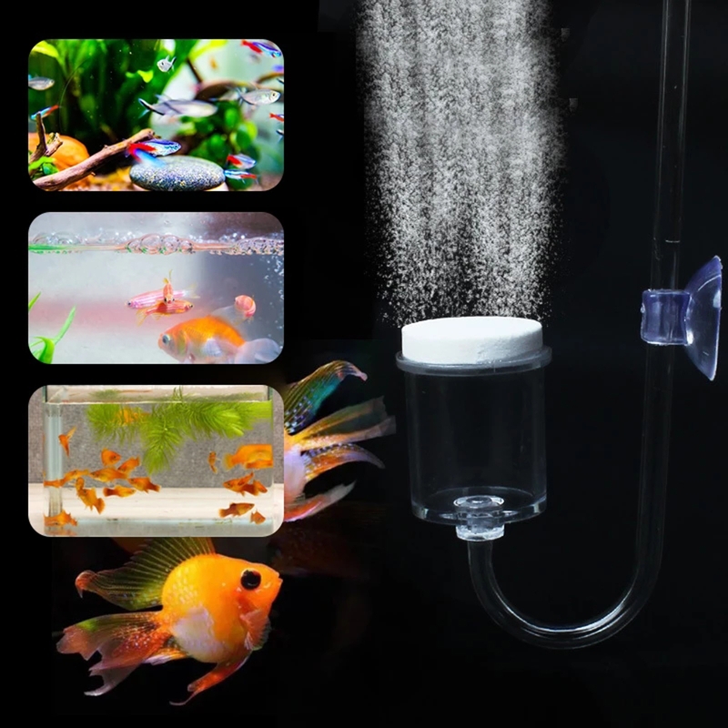 4 stücke Set DIY CO2-Diffusor  – Aquarium Fish Photography Bewertung und Preis