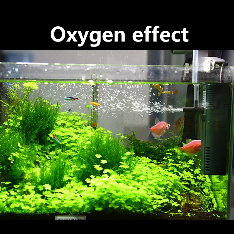 Sunsun mini nano 111b 311b 611 – Aquarium Fish Photography Bewertung und Preis